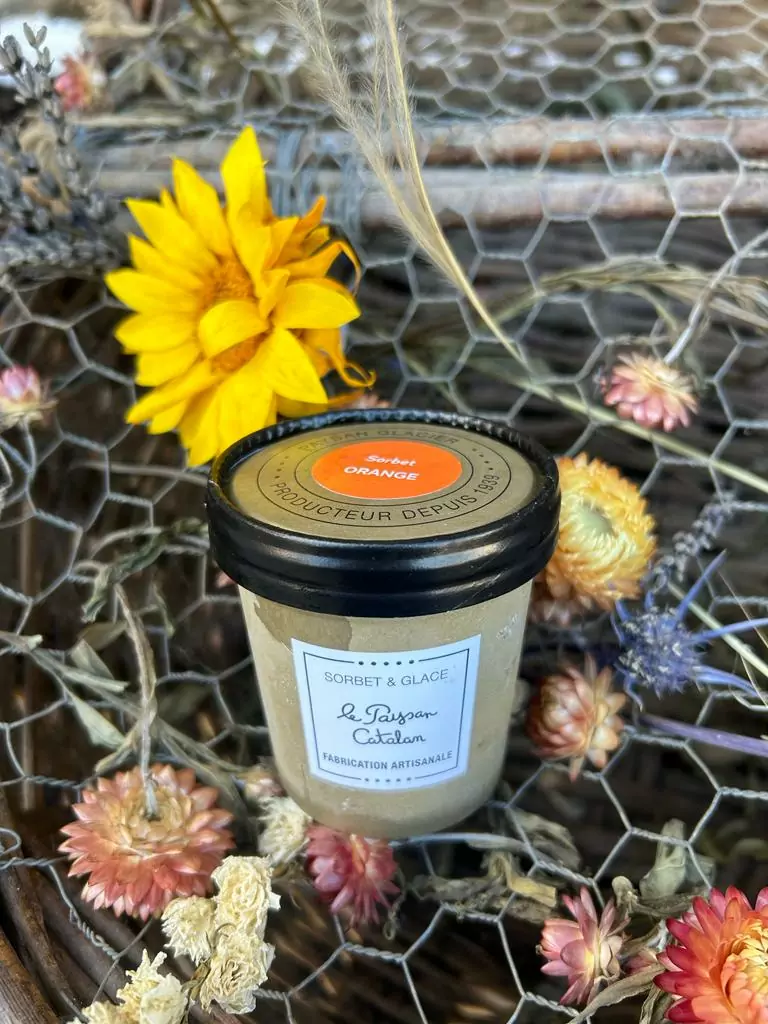 SORBET ORANGE 110ML (90gr)