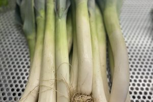 POIREAUX FRANCE 1KG