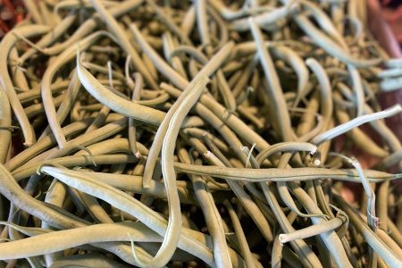 HARICOTS VERTS 1KG