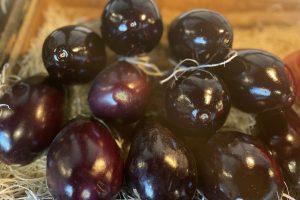 AUBERGINE 1KG