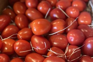 TOMATE ROMA 1Kg