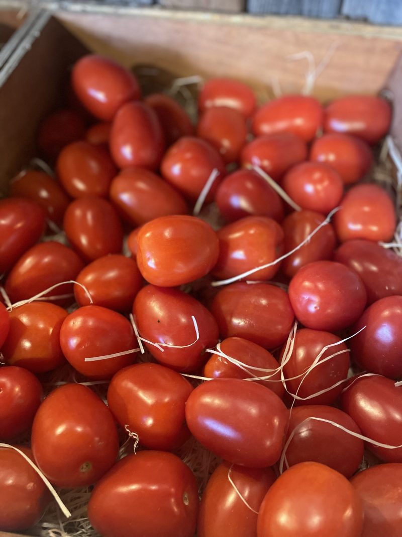 TOMATE ROMA 1Kg