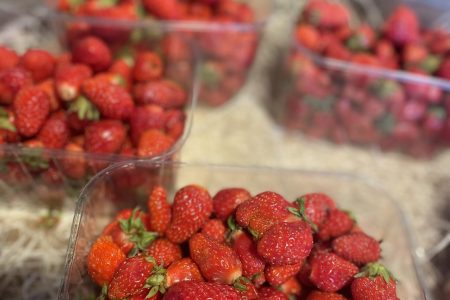 FRAISES CONFITURE BQ 1KG