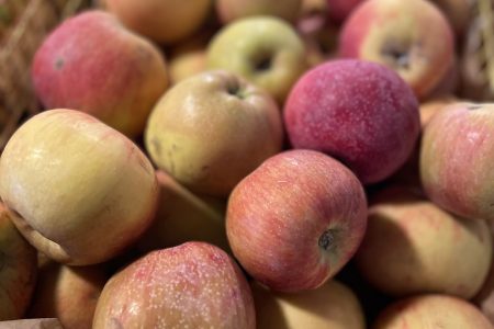 POMME LAFAYETTE BIO 1KG