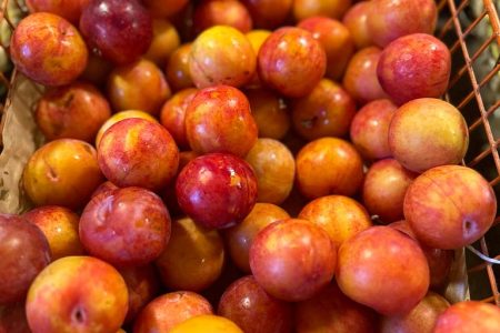PRUNE ROUGE 1KG