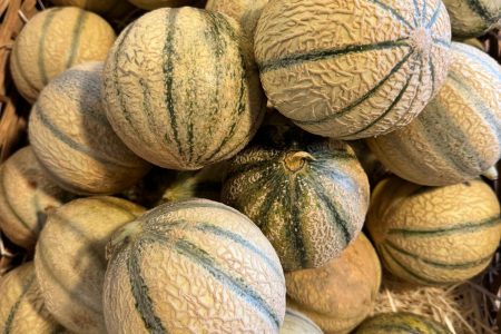 MELON PETIT cal 18