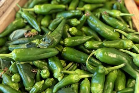 PADRONS