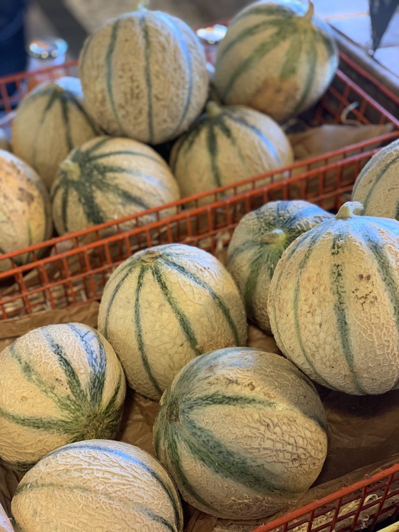 MELON CHARANTAIS PIECE