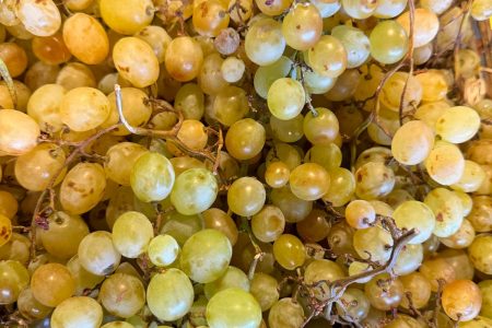 RAISIN MUSCAT BLANC 1KG